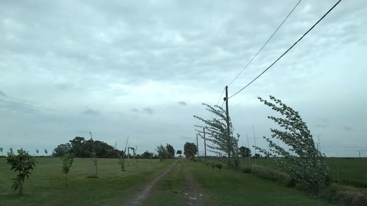 Alerta amarillo por vientos para este sábado, en Venado y gran parte de Santa Fe