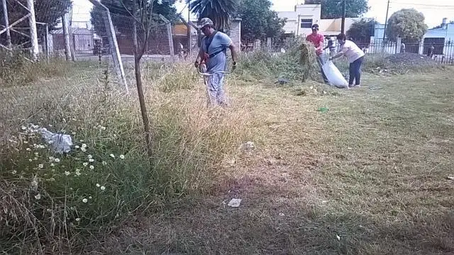 Corte de pasto en el Hospital