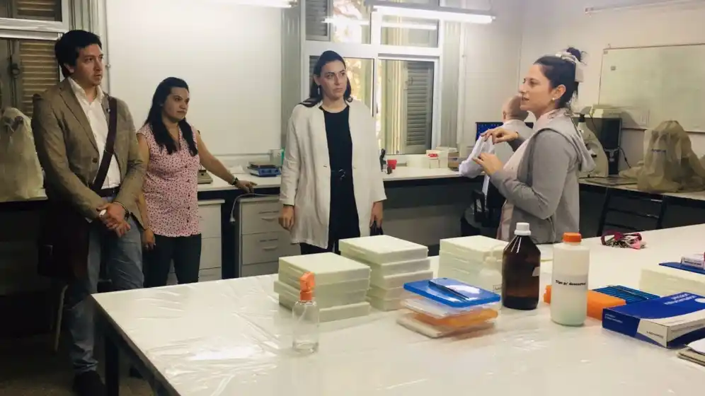 Se desarrollan tres grandes proyectos territoriales, innovadores y de impacto en Rosario, Casilda y Cañada de Gómez