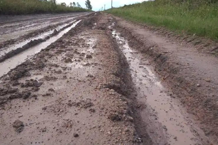 Productores reclaman por el estado de la Ruta 31