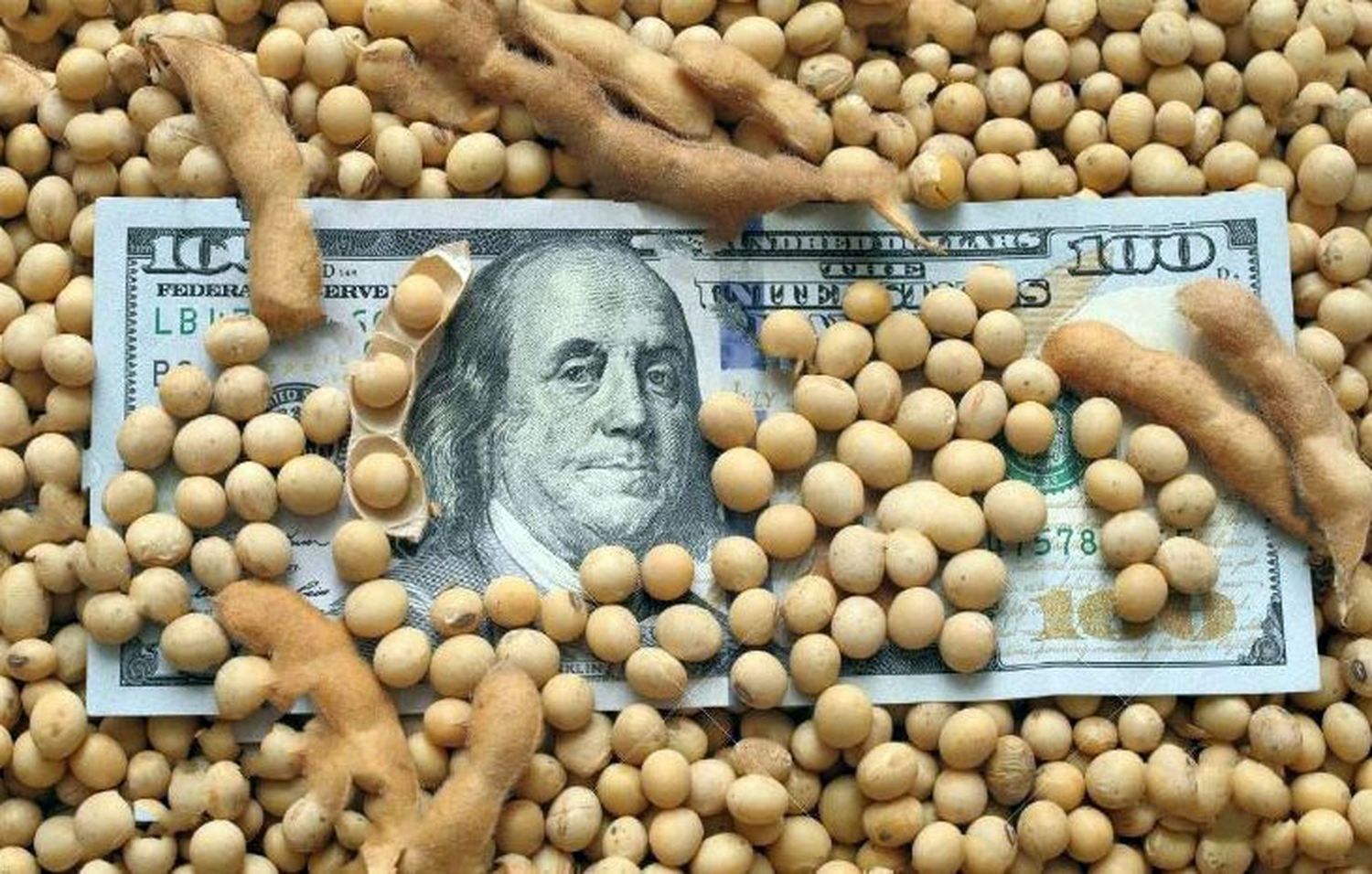 “Dólar Soja II”: el Gobierno ultima detalles del programa