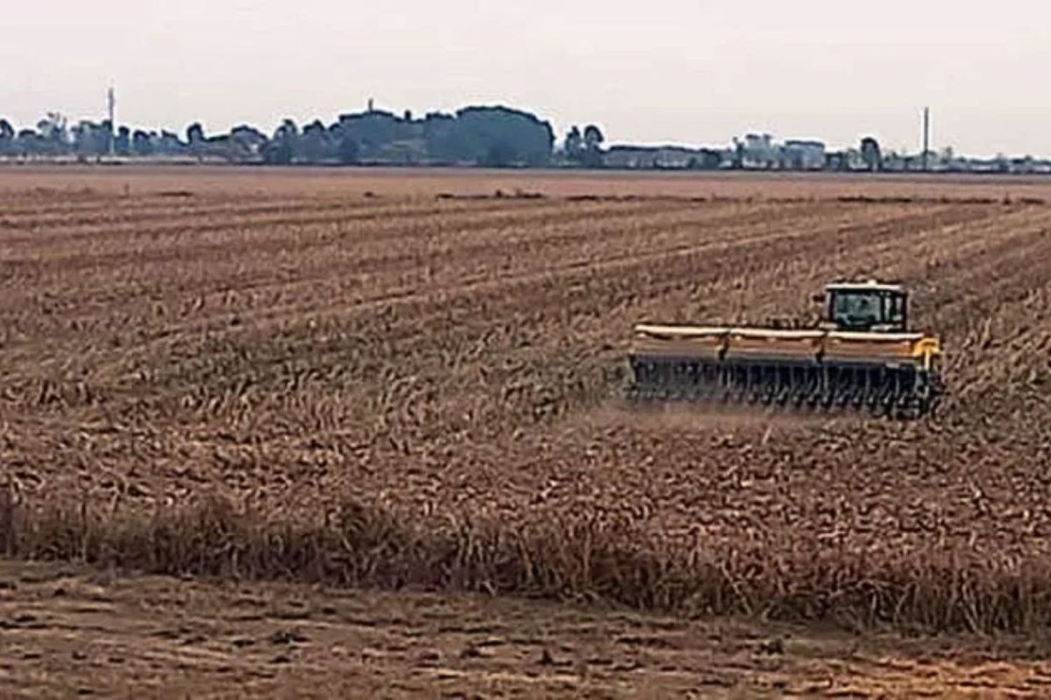 Empresa argentina logra el máximo estándar en soja sostenible