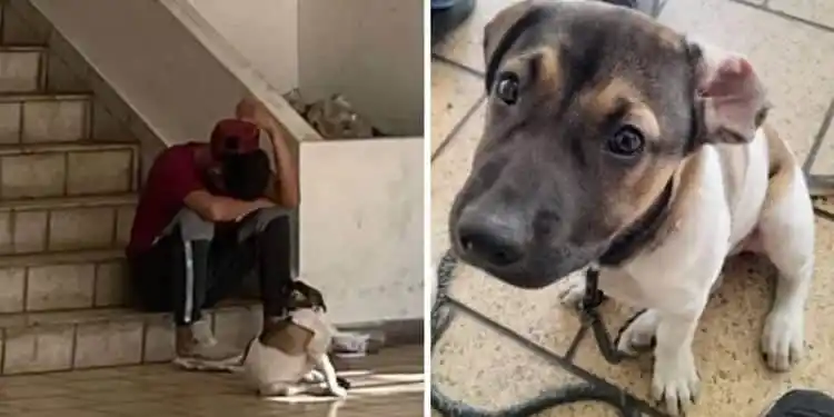 VENEZOLANOS LO AUXILIARON EN PANAMÁ: migrante cruzó la tenebrosa selva del Darién con su perrita