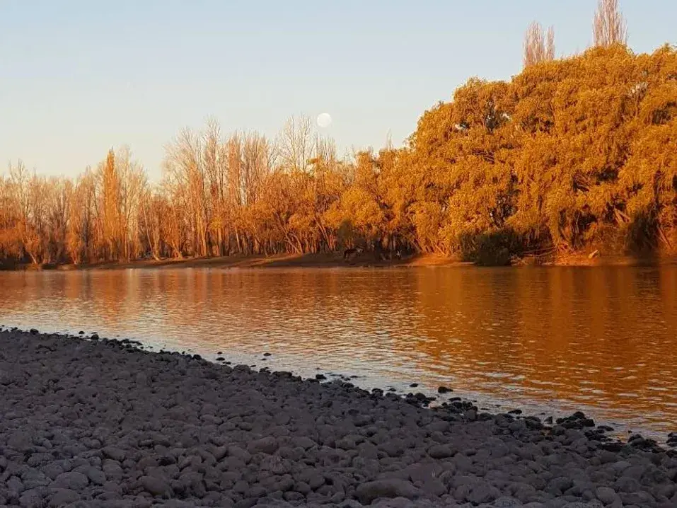 Un adolescente murió en Neuquén cuando nadaba en el río Limay. Foto: Agencia NA (Google Maps)