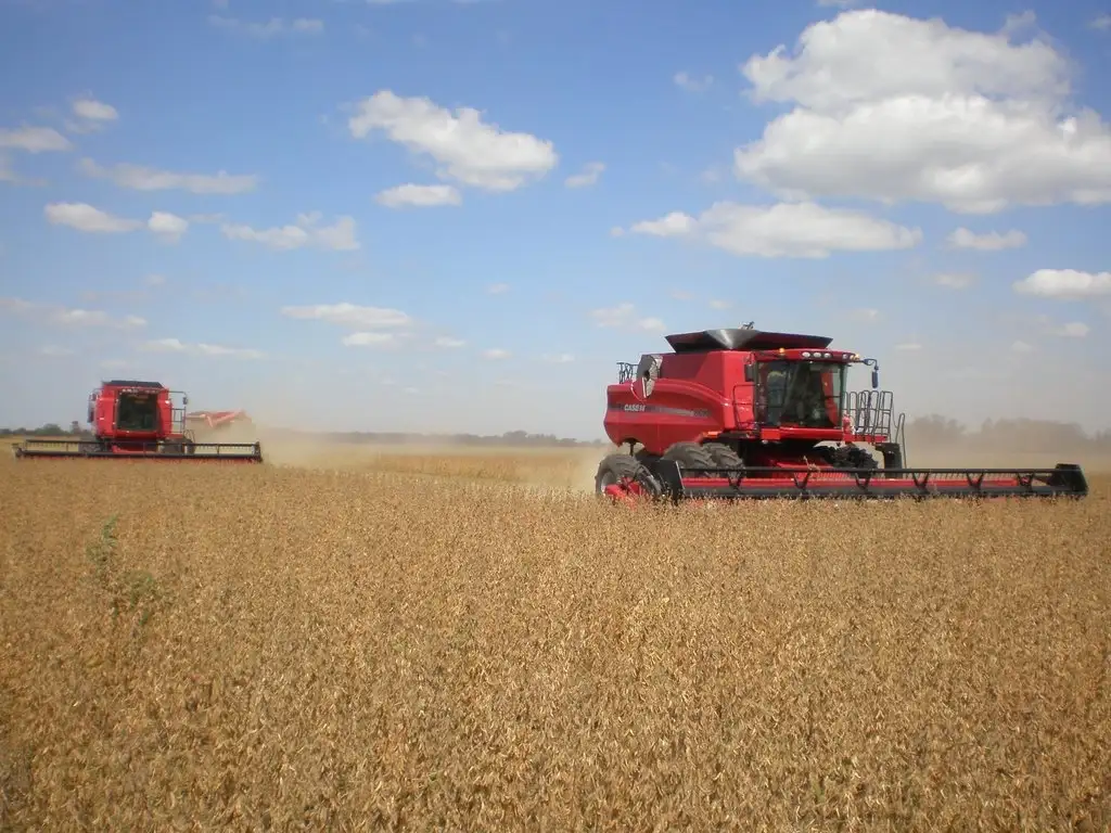 Combustibles: alertan sobre el impacto de los nuevos precios