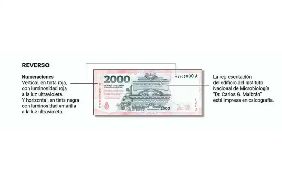 En el reverso también posee huellas distintivas.