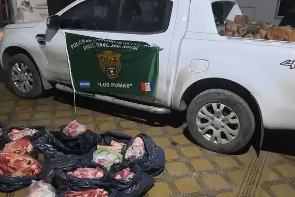 Intensa labor de "Los Pumas" contra el abigeato y la depredación en ríos