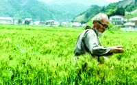 La agricultura natural, aquel espacio de desarrollo espiritual para quien produce alimentos