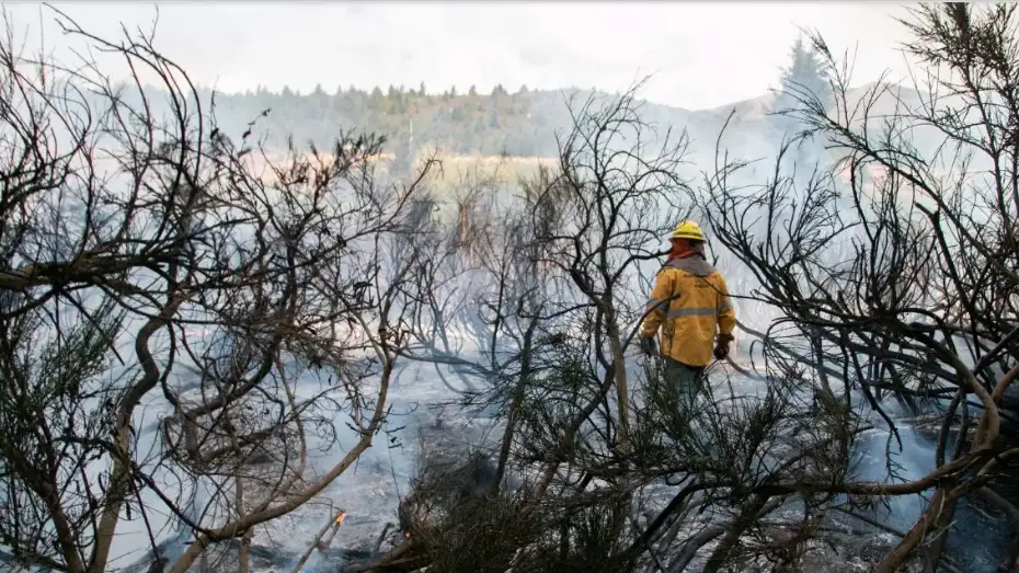 Brigadistas de Catamarca, Jujuy, Salta y Tucumán se unen al combate del fuego