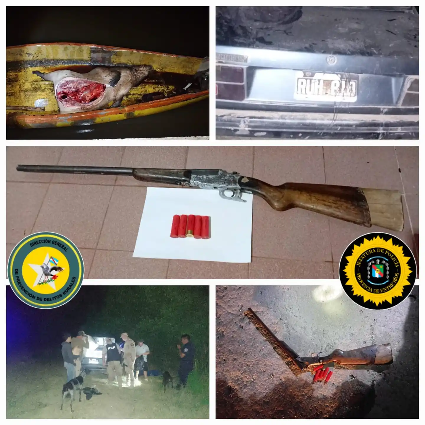 Secuestran armas, una embarcación y un carpincho faenado en un operativo rural en Molino Doll