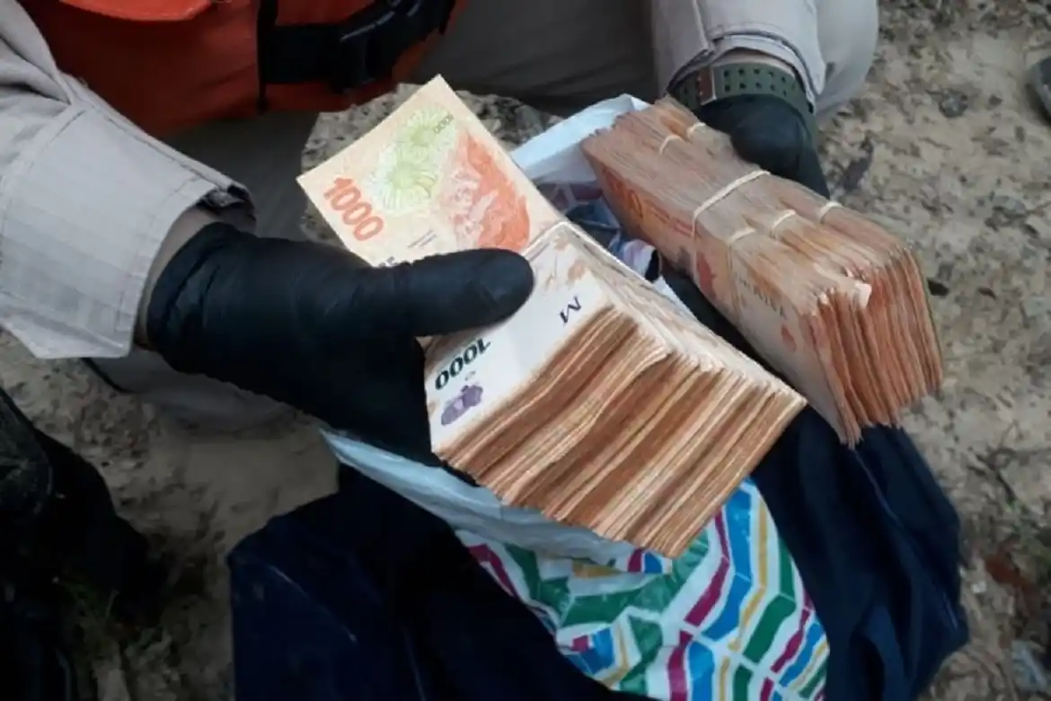 Ocultos entre la maleza hallaron cocaína, marihuana y una millonaria suma de dinero