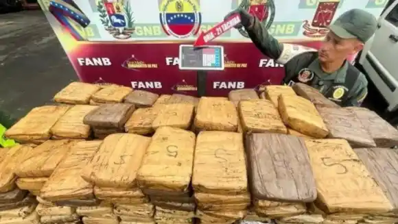 Incautan en alcabala del Táchira 379 panelas de droga dentro de camioneta con placas diplomáticas