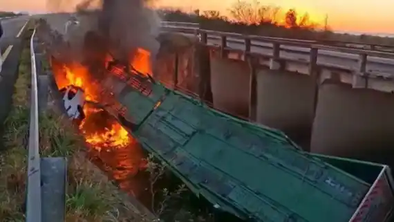 Tragedia en la Autovía 14: camión con autos 0 km se despista y se incendia en Corrientes