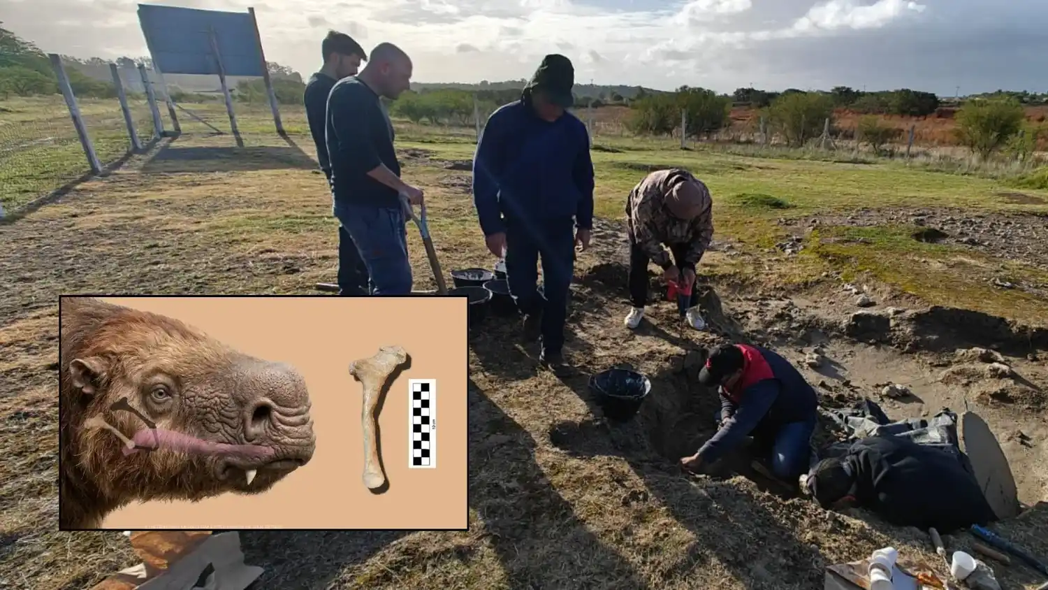 El Grupo Conservacionista de Fósiles hallo una pieza inédita para nuestro país, en el yacimiento del Campo Spósito. Es un hueso hioides.
