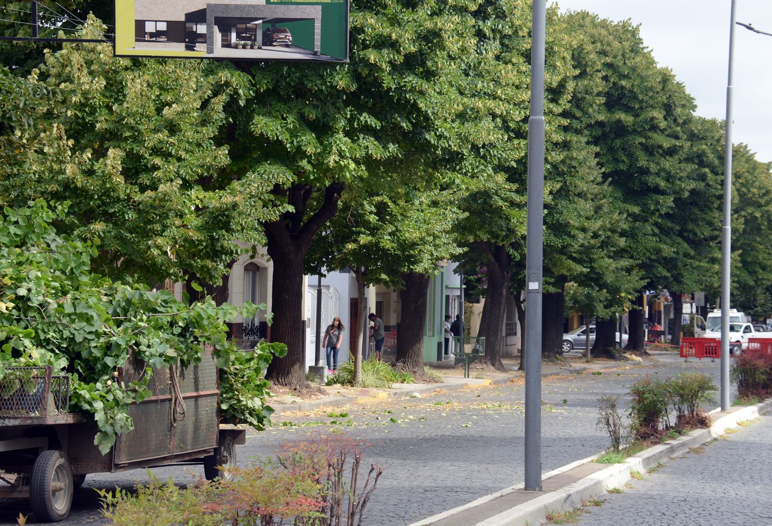 El Municipio inició un plan de tratamiento de raíces en veredas de la Avenida Colón