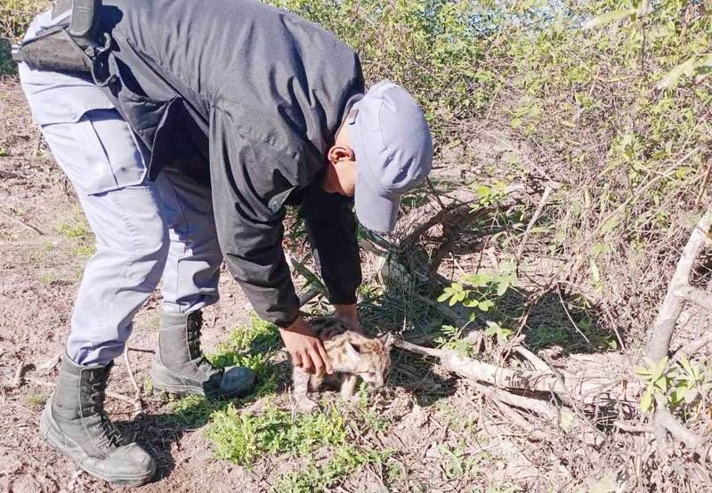 La Policía detuvo a tres sujetos, en distintos procedimientos