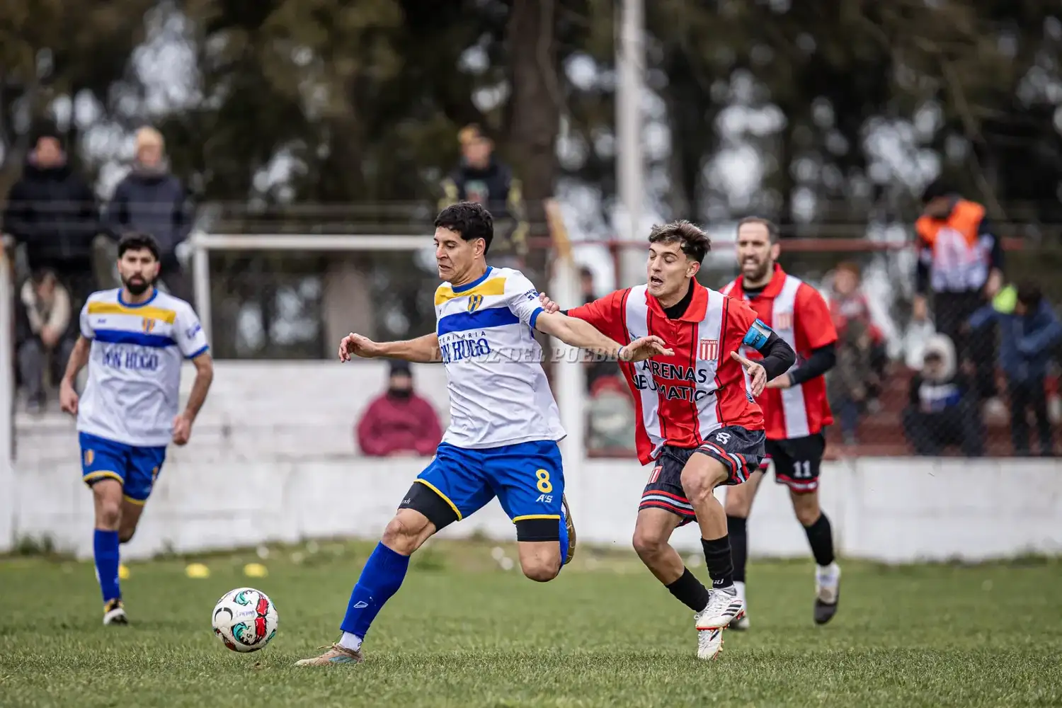 echegoyen vs quilmes - 2