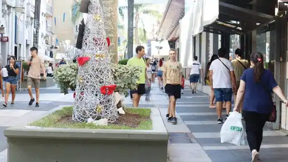 Paseos de compras y el centro,  con intensa actividad