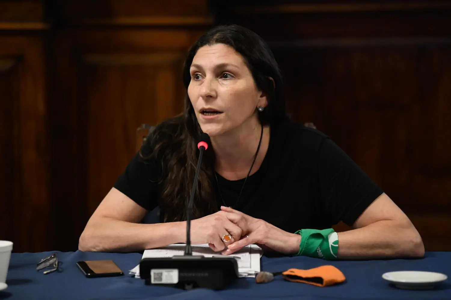 "Bajar la edad de punibilidad no resuelve el problema de la inseguridad: lo agrava", afirmó la senadora Mónica Macha