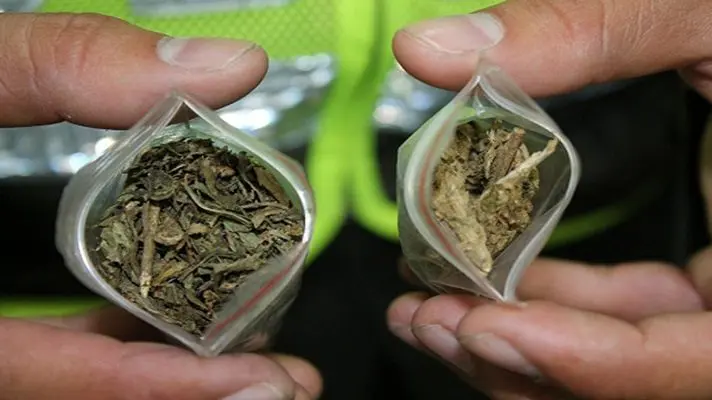 Congreso colombiano archiva ley que regulaba consumo recreativo de la marihuana