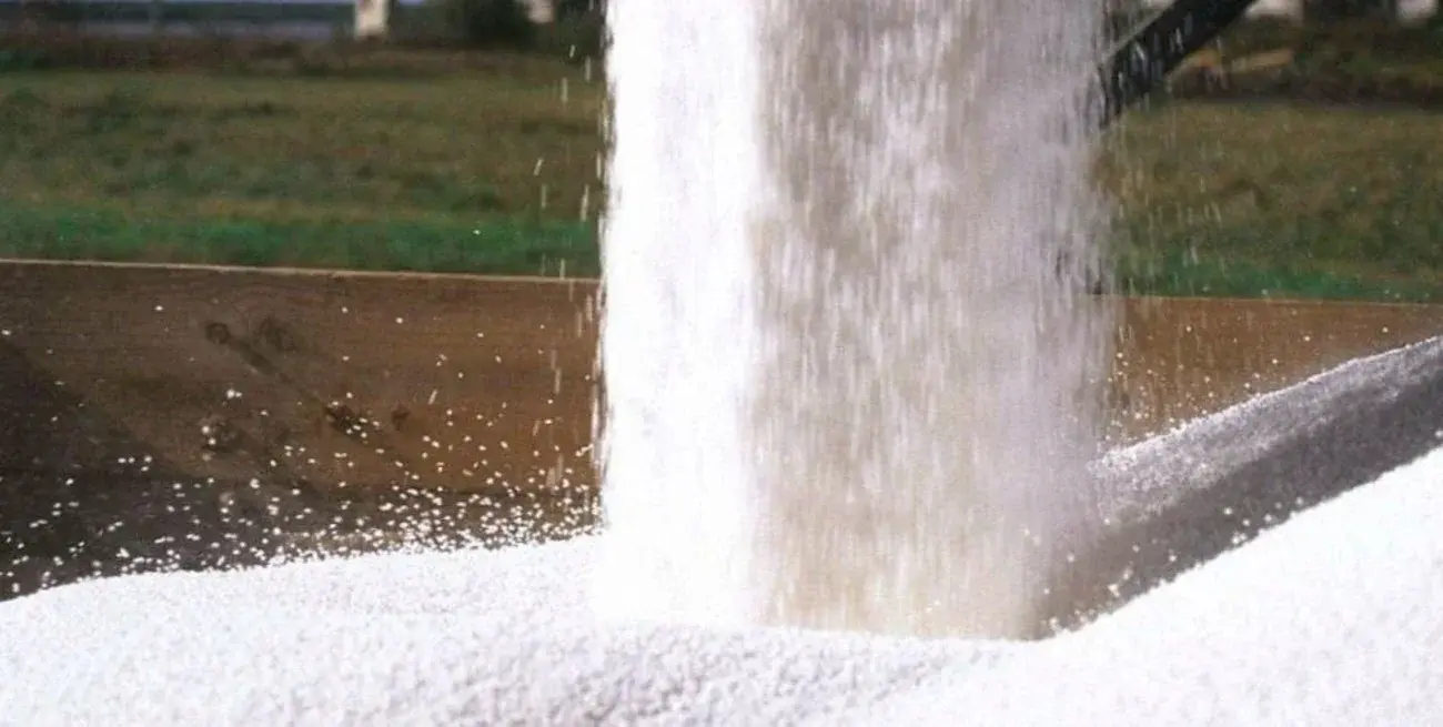 Fertilizantes: el desafío de aumentar la producción de alimentos sin comprometer los suelos