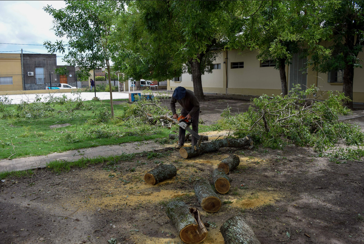 Temporal: El Área de Paseos y Jardines colaboró con la Escuela N° 8