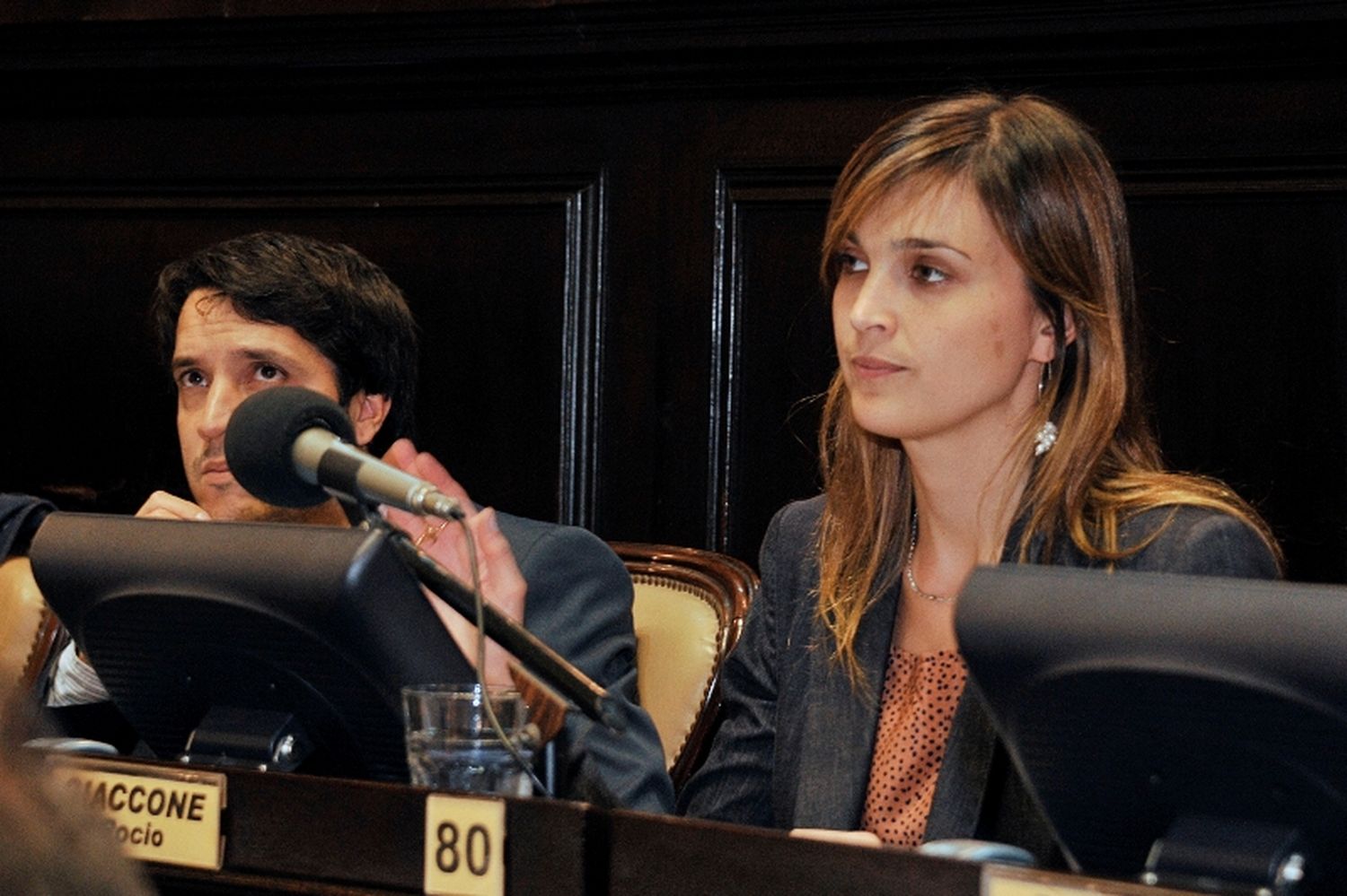 Proyecto para medir índices de femicidio