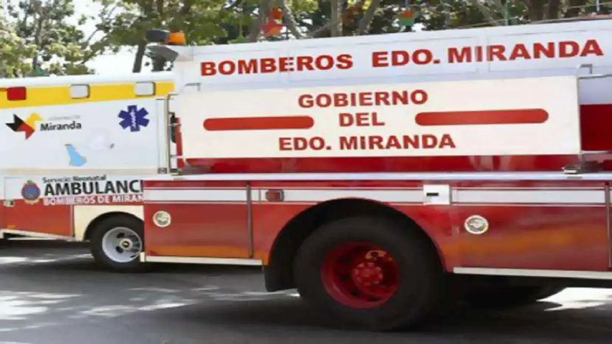 Un bombero muere tras ataque de abejas en los Valles del Tuy