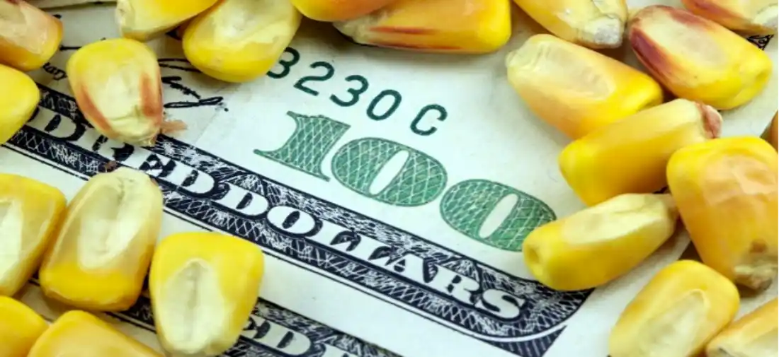 La peor de las consecuencias