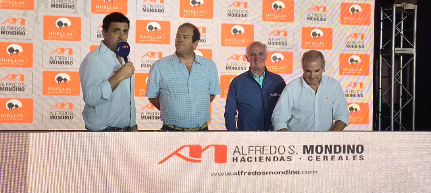 Alfredo S. Mondino realizó su remate televisado de 13.000 cabezas