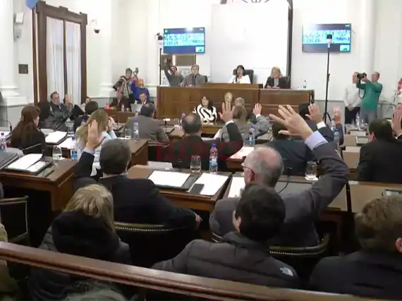 Aprobación en el Senado : El Gualeyo Otaegui votó a favor del Proyecto de OSER y ahora pasa a Diputados