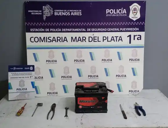 Dos malvivientes con antecedentes intentaron robar baterías de autos