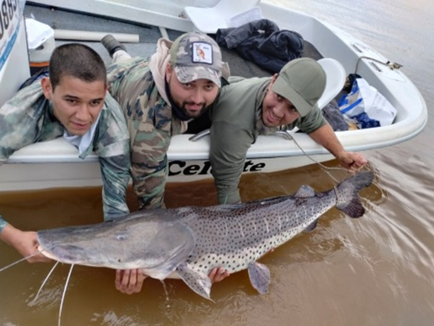 Evaluación de la población de Surubí en el río Uruguay