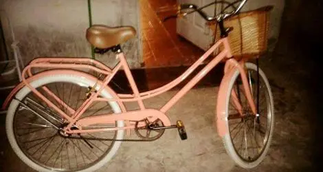 Bici robada