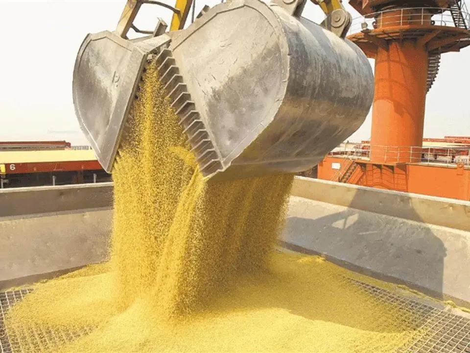 Récord histórico: el agro liquidó US$ 7.100 millones en septiembre