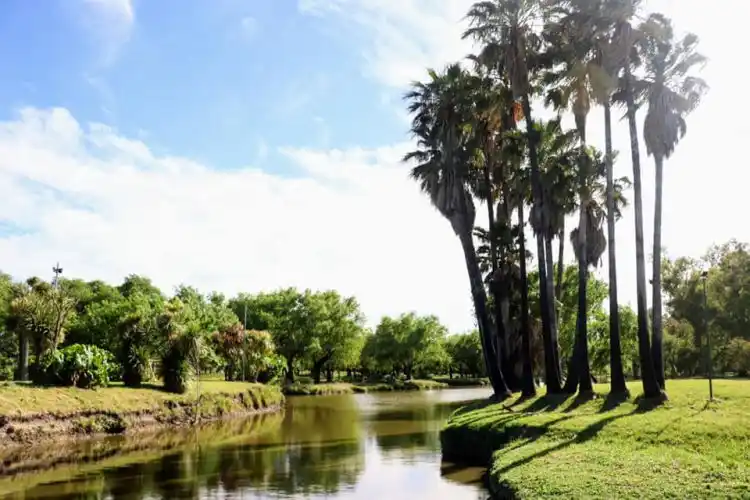 La Ruta Provincial 31 atraviesa el norte bonaerense conectando las rutas 7 y 8 entre estancias históricas, pueblos con identidad y paisajes rurales.