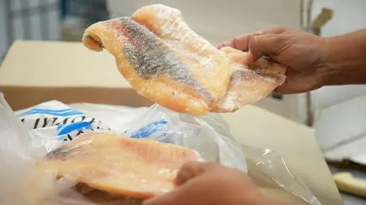 Confirman las sospechas: suspenden un frigorífico de pescado de Victoria por presuntos incumplimientos ambientales