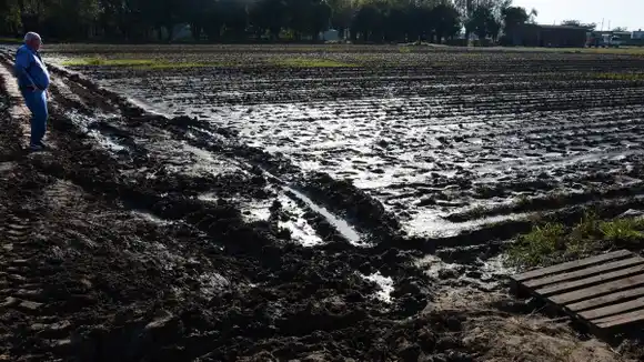 Las tormentas de esta semana dejaron 50.000 hectáreas "muy afectadas"
