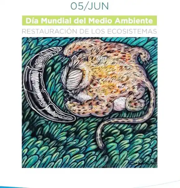 Los museos de Concordia  presentan una nueva edición de su revista virtual