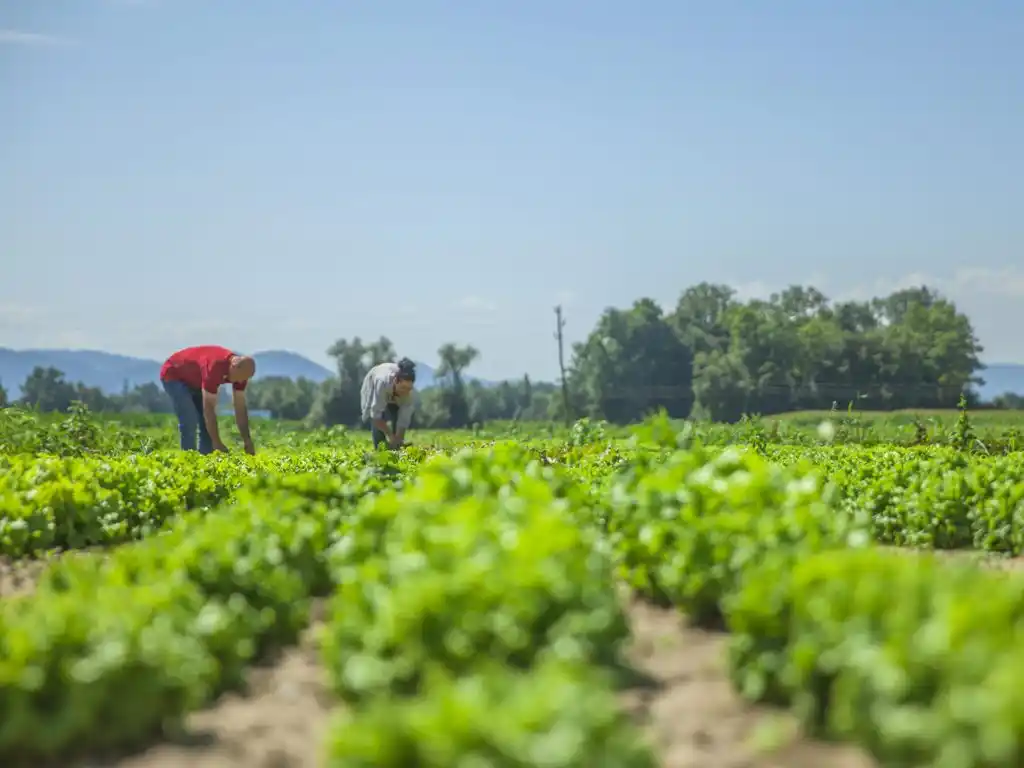 Retenciones cero a las economías regionales: el análisis de la Bolsa de Rosario