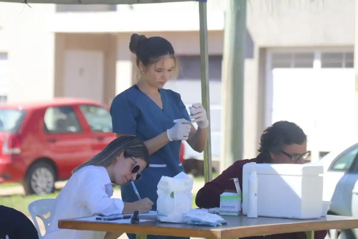 Abren la convocatoria para un programa de pasantías para estudiantes de veterinaria
