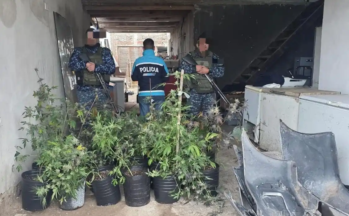 El allanamiento se realizó en una vivienda del barrio Regional.