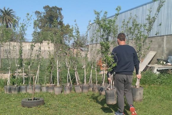 Los vecinos pueden: avanza el proyecto “Renacimiento del arroyo El Tala”