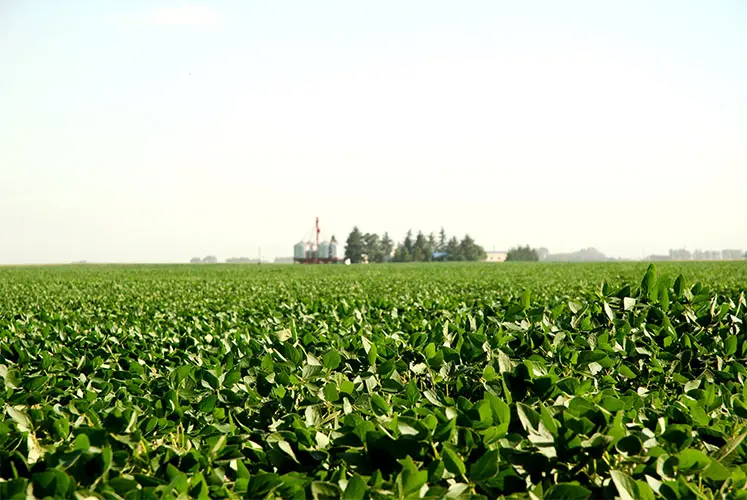 “Amenazas externas: la principal industria de la Argentina en jaque. El futuro de la mayor fuente de ingreso de dólares en peligro”