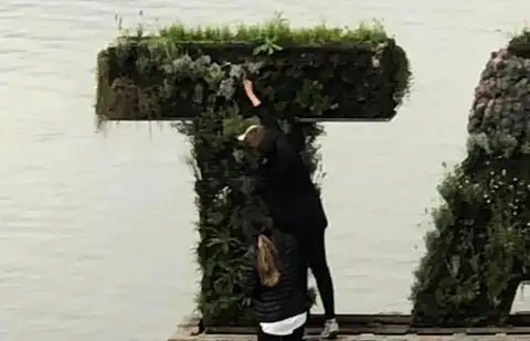 Volvieron a robar plantas del jardín vertical en el Dique