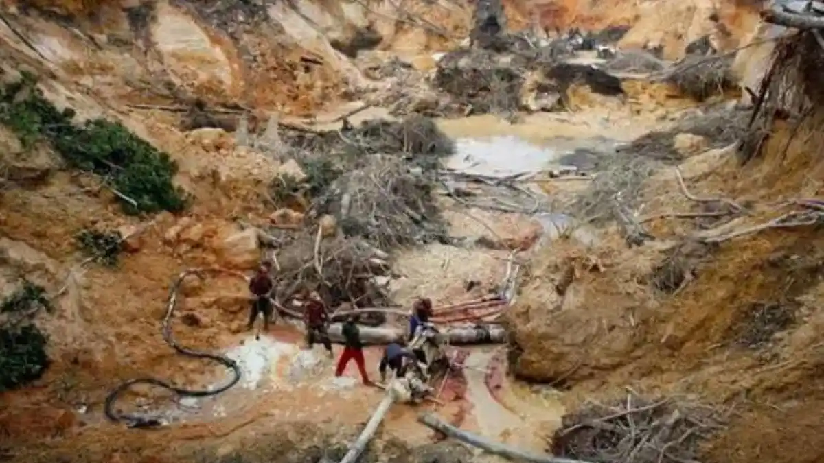 ¡LEONARDO DICAPRIO ALERTÓ SOBRE SITUACIÓN DE VENEZUELA! Denunció que sufrimos una de las deforestaciones más grandes del mundo