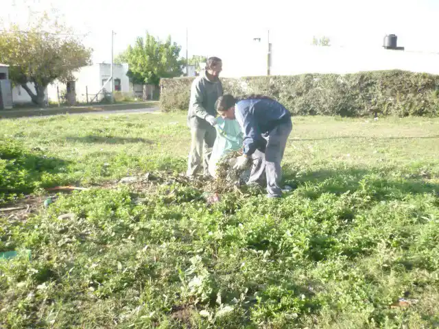 Con orden judicial, la Municipalidad procedió a limpiar terrenos privados 