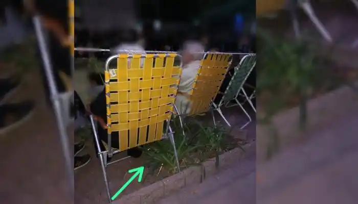 “Esto pasó anoche, pobres plantas”