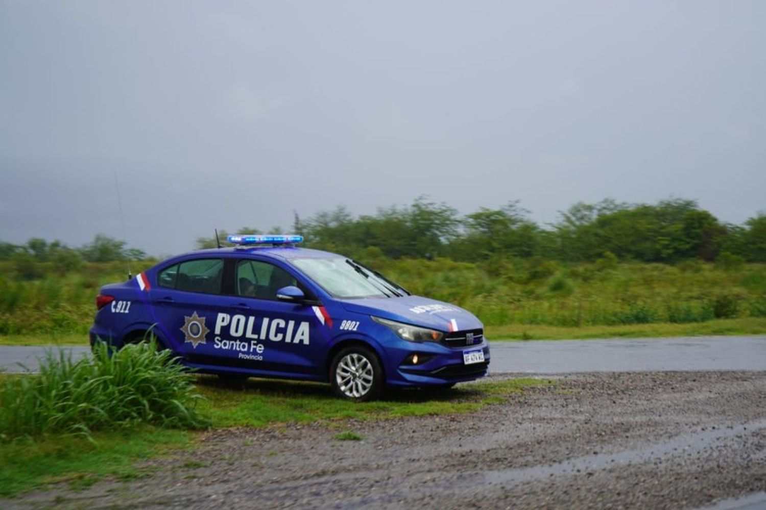 Clases y transporte público suspendido, calles anegadas y árboles caídos: la tormenta azotó en la provincia