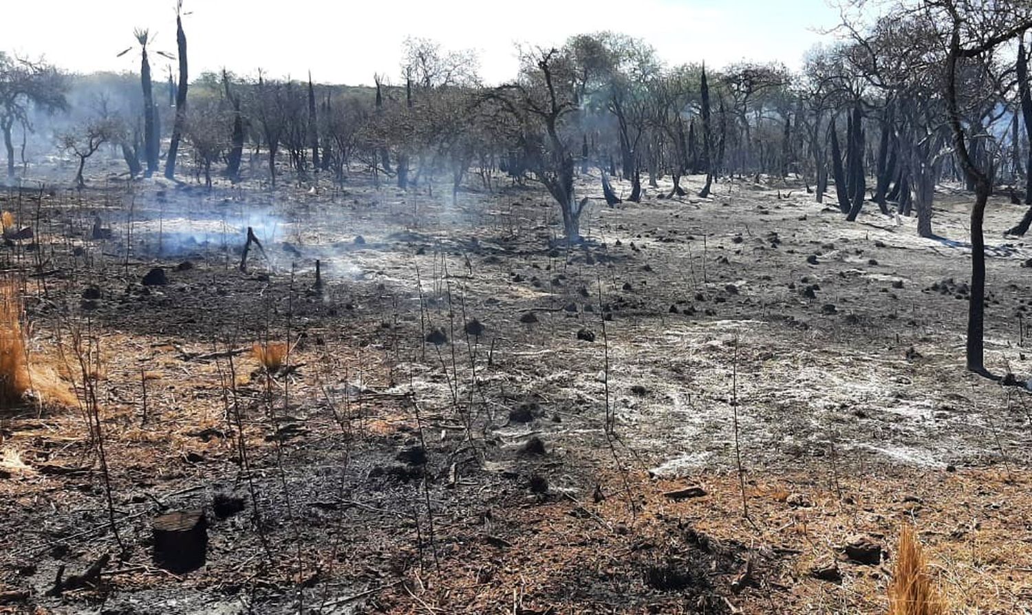 El índice de riesgo de incendios está en nivel extremo en la provincia